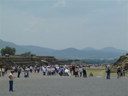 P1030448